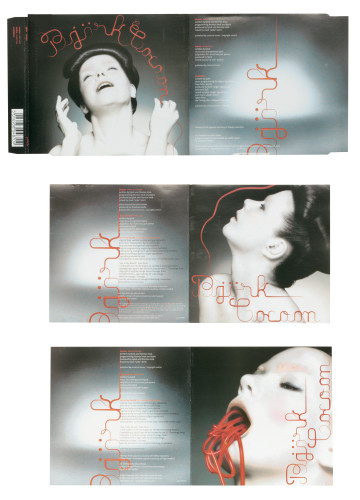 Björk “Cocoon” CD
