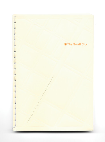 The Small City book