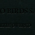 And No Birds Sang book