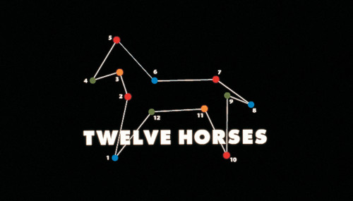 Twelve Horses website