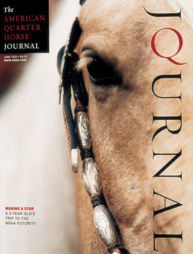 The American Quarter Horse Journal