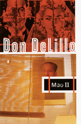 Don DeLillo series—White Noise, Great Jones Street, End Zone, Americana, Mao II, Libra