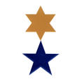American Israel Public Affairs Committee Anniversary Logo