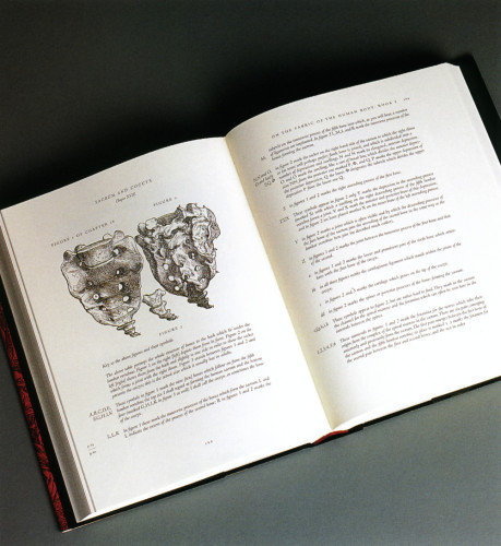 On the Fabric of the Human Body, Book I: The Bones and Cartilages