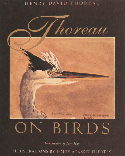 Thoreau on Birds 