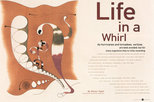 "Life in a Whirl"