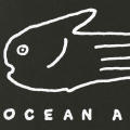 Ocean Aid Logo Identity