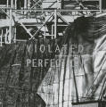Violated Perfection: Architecture and the Fragmentation of the Modern
