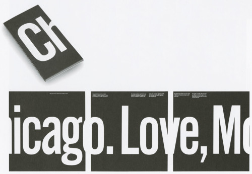 Aiga Designers Guide to Chicago