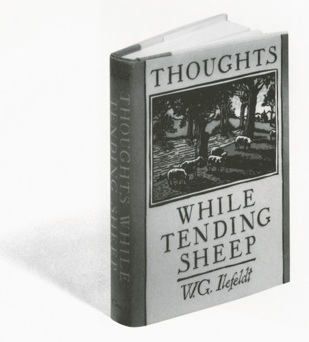 Thoughts While Tending Sheep