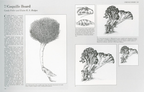 The Guild Handbook of Scientific Illustration