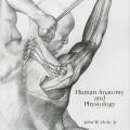 Human Anatomy and Physiology, 4th Edition