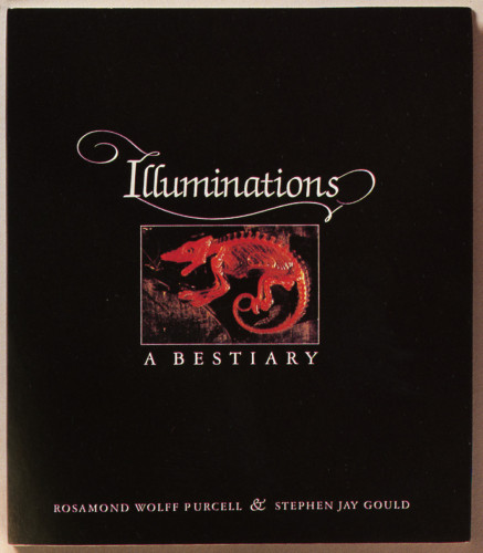 Illuminations, A Bestiary