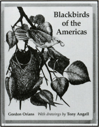 Blackbirds of the Americas