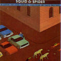 Squid & Spider, A Look at the Animal Kingdom