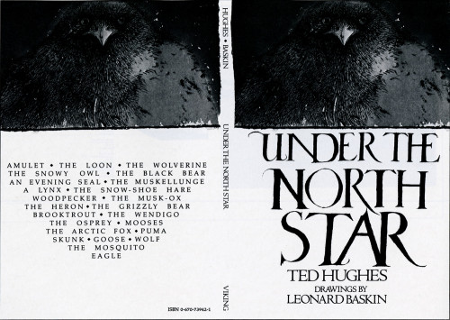 Under the North Star