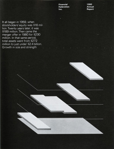 Financial Federation, Inc. 1980 Annual Report