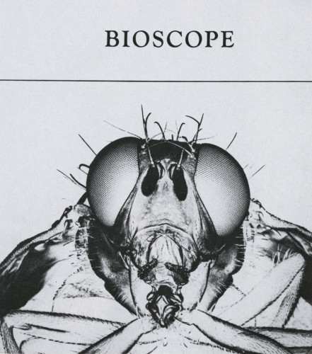 Bioscope