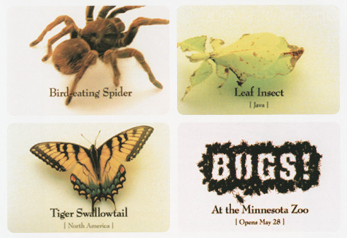 Minnesota Zoo BUGS! Supers Television Spot