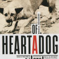 “Heart of a Dog”