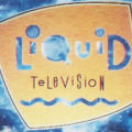 MTV "Liquid Television Open"
