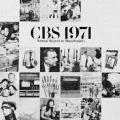 CBS 1971, annual report