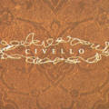 Civello Agency & Salon