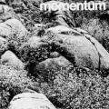Momentum, company magazine