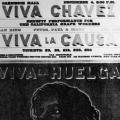 Viva Chavez, poster
