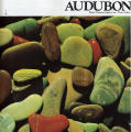 Audubon, March 1981
