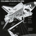 Columbia Flexes Its Arm