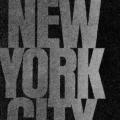 AIA Guide to New York City book