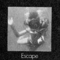 Escape brochure
