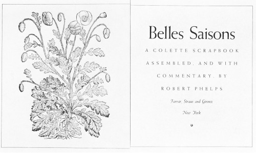 Belles Saisons: A Collette Scrapbook