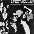 Flamenco Spectacular, record album cover