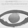 Chloromycetin Card.