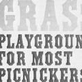 Grass Playground for Most Picnickers