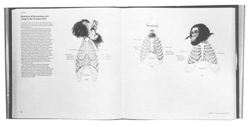 An Atlas of Primate Gross Anatomy