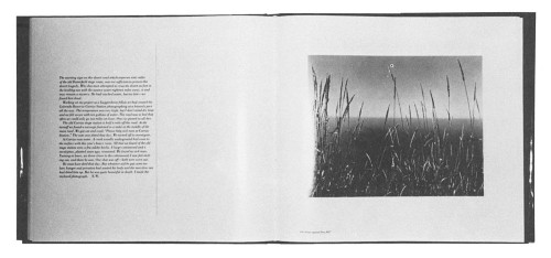 Edward Weston: Fifty Years