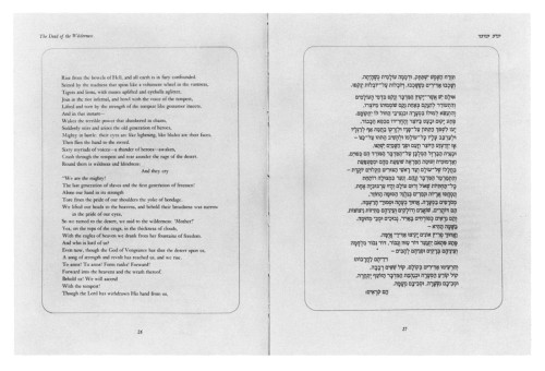 Selected Poems: Chaim Machiman Bialik
