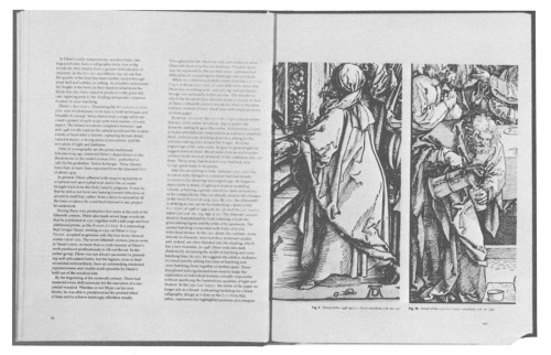 Albrecht Durer: Master Printmaker