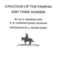 Gauchos of the Pampas and Their Horses