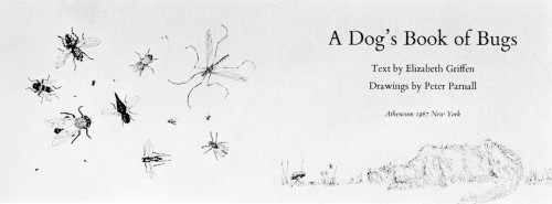 A Dog’s Book of Bugs