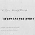 Sport and the Horse