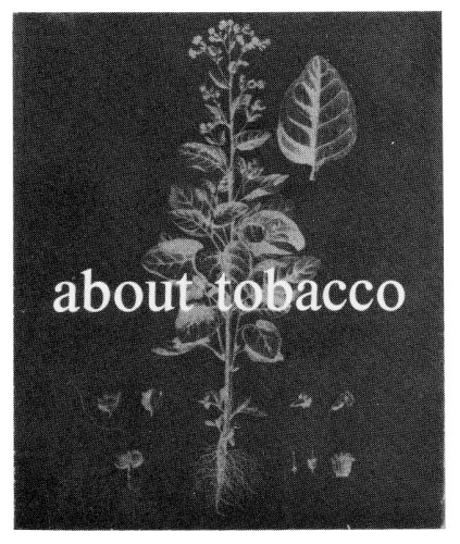 About Tobacco