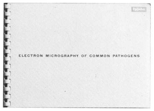 Electron Micrography (Upjohn)