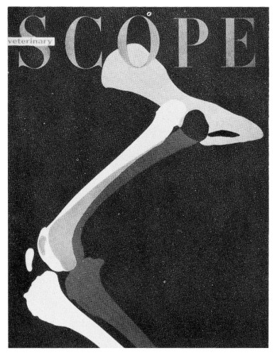 Veterinary Scope, magazine