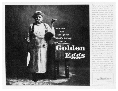 “Golden Eggs”