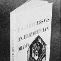 Essays on Elizabethan Drama