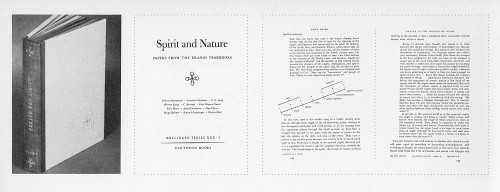 Spirit and Nature, Papers from the Eranos Yearbooks